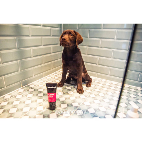 Sampon pentru caini Animology Puppy 250ml